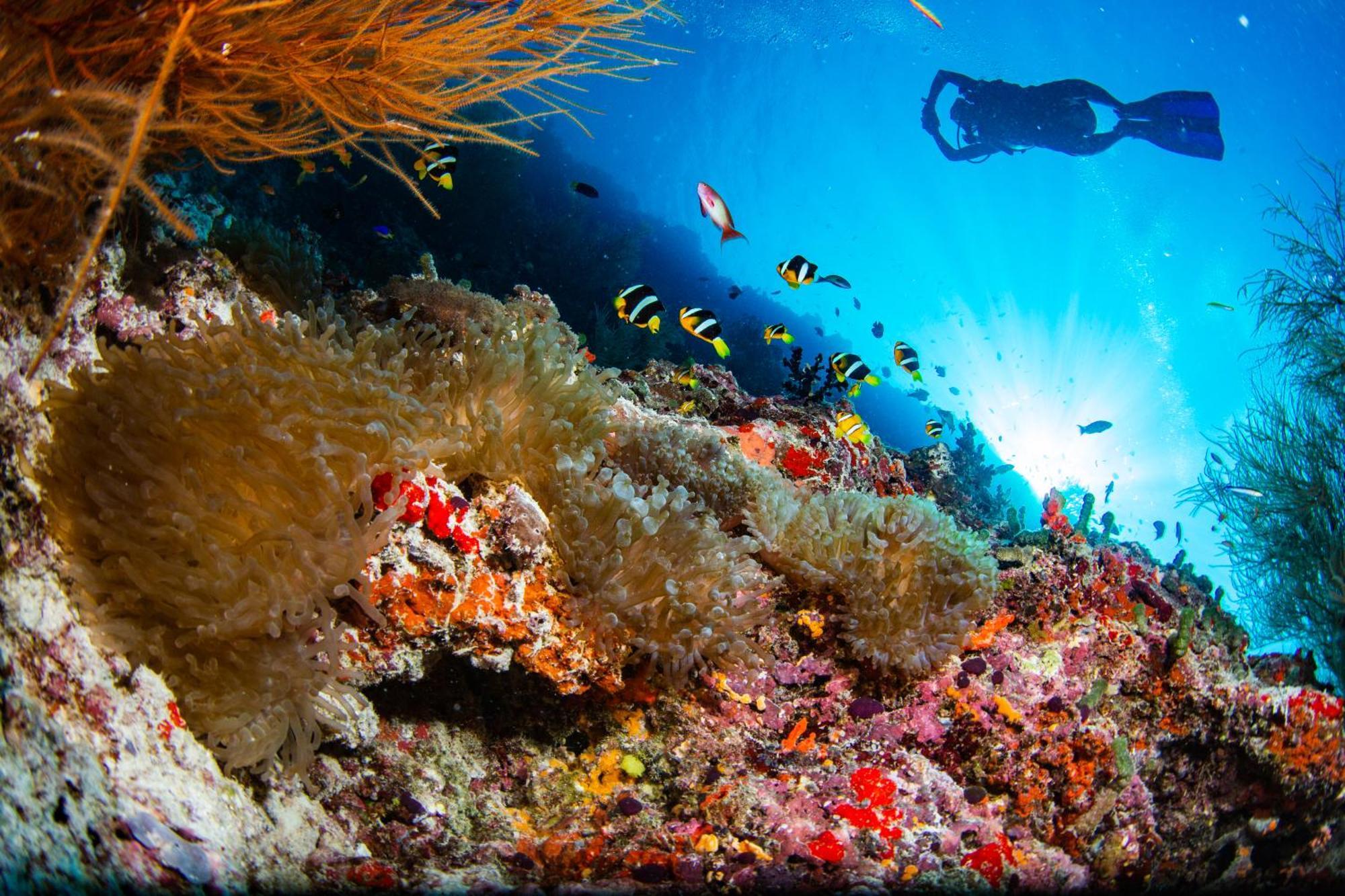 Noku Maldives, Vignette Collection By Ihg, 50 Percent Off Shared Roundtrip Seaplane Transport When You Stay 4 Nights Or More Stay Period Until 23 Dec 2025 (Adults Only) Kudafunafaru Екстер'єр фото